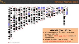 GRCh38 (Dec. 2013)
• 178 regions with alt loci: 2% of chromosome
sequence (61.9 Mb)
• 261 Alt Loci: 3.6 Mb novel sequence relative to
chromosomes
• Average alt length = 400 kb, max = ~5 Mb
• >150 genes only represented on alt loci
Reference Assembly Basics
 