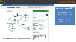 Accessing the Data
https://www.ncbi.nlm.nih.gov/genome/gdv/
Learn more about GDV:
Data CoLab #159
Weds 10:30-11:00
Poster 1531W
Weds 2:00-3:00
 