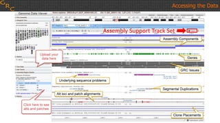 Accessing the Data
Assembly Support Track Set
 