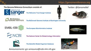 https://genomereference.org
Twitter: @GenomeRef
Announcements: grc-announce@ncbi.nlm.nih.gov
 