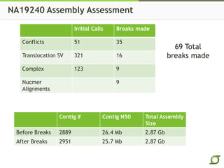 NA19240 Assembly Assessment
Initial Calls Breaks made
Conflicts 51 35
Translocation SV 321 16
Complex 123 9
Nucmer
Alignments
9
69 Total
breaks made
Contig # Contig N50 Total Assembly
Size
Before Breaks 2889 26.4 Mb 2.87 Gb
After Breaks 2951 25.7 Mb 2.87 Gb
 