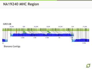 NA19240 MHC Region
GRCh38
Bionano Contigs
 