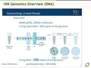 10X Genomics Overview (DNA)
(Church 10X Genomics)
 