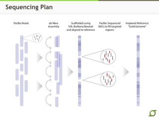 Sequencing Plan
 