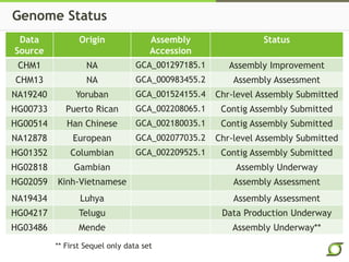 Genome Status
Data
Source
Origin Assembly
Accession
Status
CHM1 NA GCA_001297185.1 Assembly Improvement
CHM13 NA GCA_000983455.2 Assembly Assessment
NA19240 Yoruban GCA_001524155.4 Chr-level Assembly Submitted
HG00733 Puerto Rican GCA_002208065.1 Contig Assembly Submitted
HG00514 Han Chinese GCA_002180035.1 Contig Assembly Submitted
NA12878 European GCA_002077035.2 Chr-level Assembly Submitted
HG01352 Columbian GCA_002209525.1 Contig Assembly Submitted
HG02818 Gambian Assembly Underway
HG02059 Kinh-Vietnamese Assembly Assessment
NA19434 Luhya Assembly Assessment
HG04217 Telugu Data Production Underway
HG03486 Mende Assembly Underway**
** First Sequel only data set
 