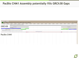 PacBio CHM1 Assembly potentially fills GRCh38 Gaps 
GRCh38 
PacBio CHM1 
 