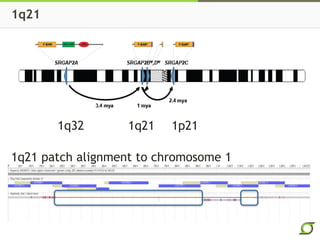 1q21 
1q32 1q21 1p21 
1q21 patch alignment to chromosome 1 
 