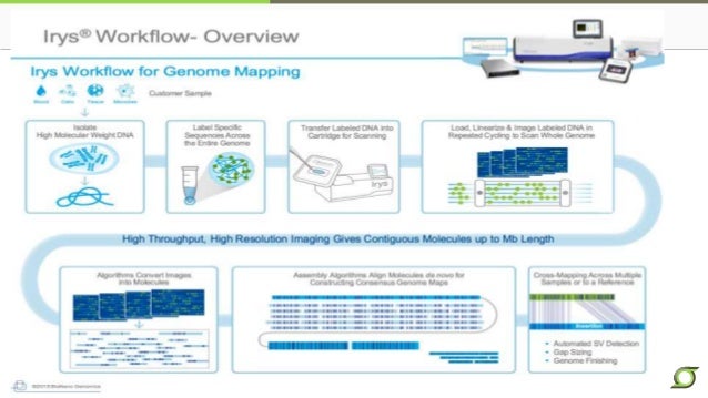dfind old genome assemblies dfind old genome assemblies