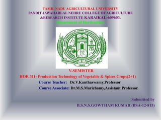 TAMIL NADU AGRICULTURAL UNIVERSITY
PANDIT JAWAHARLAL NEHRU COLLEGE OF AGRICULTURE
&RESEARCH INSTITUTE KARAIKAL-609603.
Department of Horticulture
V-SEMISTER
HOR 311- Production Technology of Vegetable & Spices Crops(2+1)
Course Teacher: Dr.V.Kanthaswamy,Professor
Course Associate: Dr.M.S.Marichamy,Assistant Professor.
Submitted by
B.S.N.S.GOWTHAM KUMAR (BSA-12-815)
 