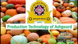 .Production Technology of Ashgourd
 
