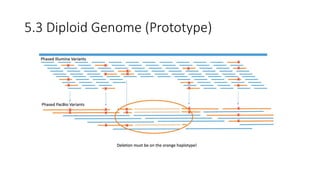 5.3 Diploid Genome (Prototype)
 