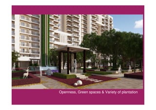 Openness, Green spaces & Variety of plantation
 