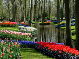 Ashikaga - Japanese Gardens