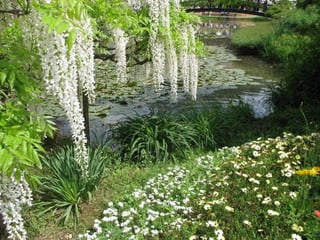 Ashikaga - Japanese Gardens