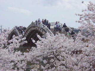 Ashikaga - Japanese Gardens