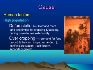 Cause
Human factors:
High population

Deforestation---∵Demand more
land and timber for cropping & building,
cutting down to tree extensively.

Over cropping—-∵demand for food
crops↑ & the cash crops demanded ↑,
↑shifting cultivation, ↓soil fertility,
secondary growth

 