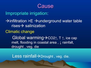 Cause
Impropriate irrigation:
infiltration >E underground water table
rises salinization
Climatic change

Global warmingCO2↑, T ↑, ice cap
melt, flooding in coastal area , ↓ rainfall,
drought , veg. die

Less rainfallDrought , veg. die.

 