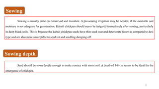 15
Sowing is usually done on conserved soil moisture. A pre-sowing irrigation may be needed, if the available soil
moisture is not adequate for germination. Kabuli chickpea should never be irrigated immediately after sowing, particularly
in deep black soils. This is because the kabuli chickpea seeds have thin seed coat and deteriorate faster as compared to desi
type and are also more susceptible to seed rot and seedling damping off.
Seed should be sown deeply enough to make contact with moist soil. A depth of 5-8 cm seems to be ideal for the
emergence of chickpea.
Sowing depth
Sowing
 