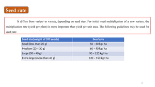 17
It differs from variety to variety, depending on seed size. For initial seed multiplication of a new variety, the
multiplication rate (yield per plant) is more important than yield per unit area. The following guidelines may be used for
seed rate:
Seed size(weight of 100 seeds) Seed rate
Small (less than 20 g) 50 – 60 kg/ ha
Medium (20 – 30 g) 60 – 90 kg/ ha
Large (30 – 40 g) 90 – 120 kg/ ha
Extra-large (more than 40 g) 120 – 150 kg/ ha
Seed rate
 