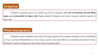 25
Chickpea is generally grown as a rainfed crop, but two irrigations, one each at branching and pod filling
stages, are recommended for higher yield. Higher number of irrigations may lead to excessive vegetative growth in
heavy soils.
Chickpea is a poor competitor with weeds at all stages of growth. Pre-emergence herbicides, such as Fluchloralin
@ 1 kg a.i. per ha or Pendimethalin @ 1.0 to 1.5 kg a.i. per ha were found effective in controlling early flush of weeds.
Mechanical / manual weeding can be done where wide row spacing is used.
Irrigation
Weed management
 