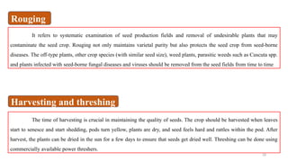 28
It refers to systematic examination of seed production fields and removal of undesirable plants that may
contaminate the seed crop. Rouging not only maintains varietal purity but also protects the seed crop from seed-borne
diseases. The off-type plants, other crop species (with similar seed size), weed plants, parasitic weeds such as Cuscuta spp.
and plants infected with seed-borne fungal diseases and viruses should be removed from the seed fields from time to time
The time of harvesting is crucial in maintaining the quality of seeds. The crop should be harvested when leaves
start to senesce and start shedding, pods turn yellow, plants are dry, and seed feels hard and rattles within the pod. After
harvest, the plants can be dried in the sun for a few days to ensure that seeds get dried well. Threshing can be done using
commercially available power threshers.
Rouging
Harvesting and threshing
 