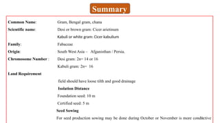 30
Summary
Common Name: Gram, Bengal gram, chana
Scientific name: Desi or brown gram: Cicer arietinum
Kabuli or white gram: Cicer kabulium
Family: Fabaceae
Origin: South West Asia – Afganisthan / Persia.
Chromosome Number : Desi gram: 2n= 14 or 16
Kabuli gram: 2n= 16
Land Requirement
field should have loose tilth and good drainage
Isolation Distance
Foundation seed: 10 m
Certified seed: 5 m
Seed Sowing
For seed production sowing may be done during October or November is more conductive
 