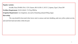31
Popular varieties:
Avrodhi, Pusa-256/BG-256, C-235, Gaurav, RS-10, RS-11, ICCC-2, Aparna, Type-2, Pusa-209
Fertilizer Requirement: 20-30: 40-60: 17-25 kg NPK/ha
Irrigation Requirement: two irrigations, one each at branching and pod filling stages
Harvesting:
The crop should be harvested when leaves start to senesce and start shedding, pods turn yellow, plants are dry,
and seed feels hard and rattles within the pod.
 