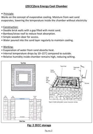Zecc Storage Comprehensive Post-Harvest Storage Techniques for Fruits and Vegetables ...