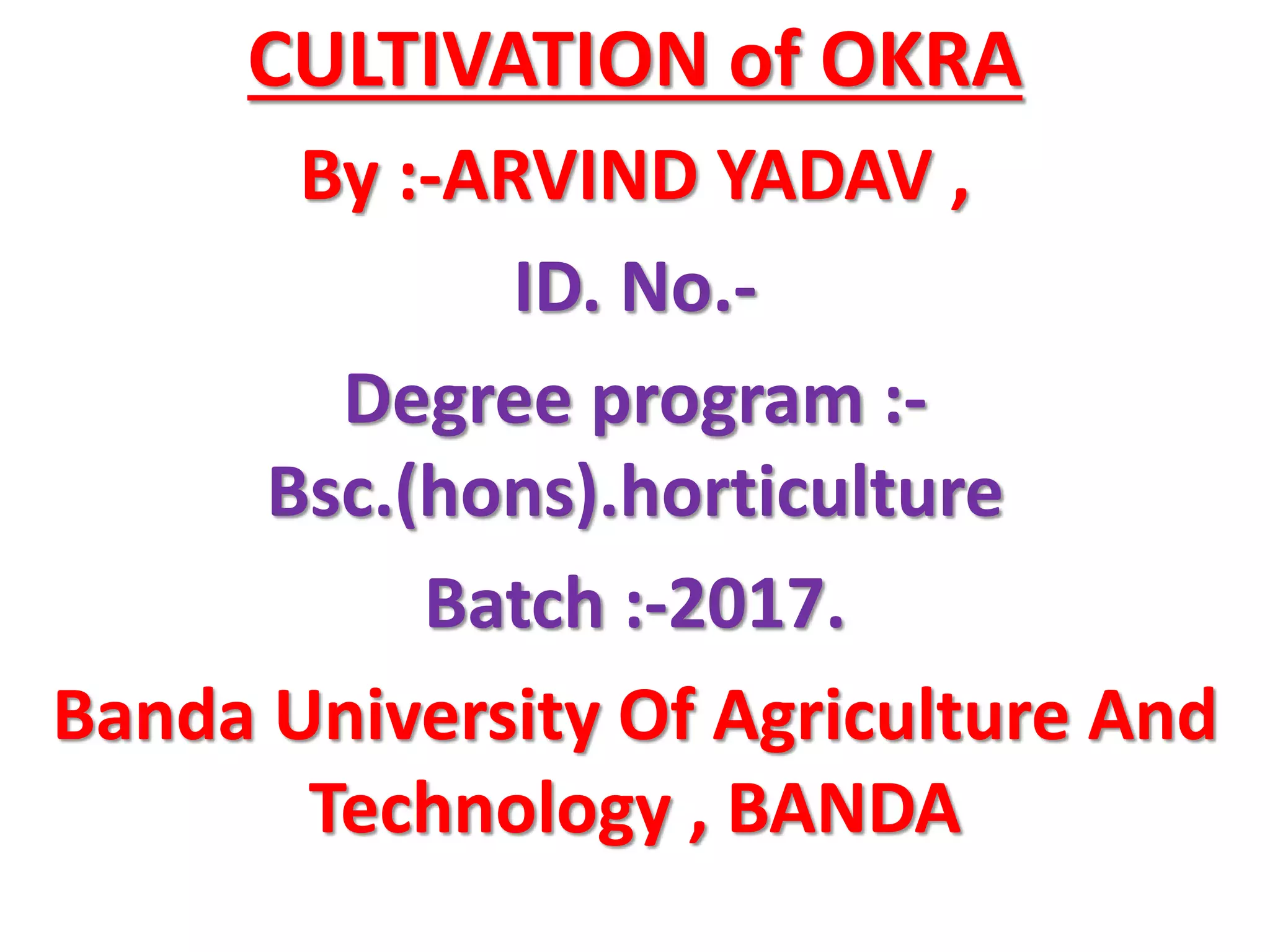 CULTIVATION OF OKRA , PRODUCTION TECHNOLOGY OF OKRA , PPT
