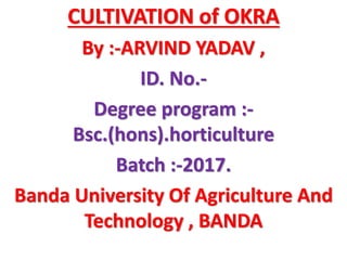 CULTIVATION of OKRA
By :-ARVIND YADAV ,
ID. No.-
Degree program :-
Bsc.(hons).horticulture
Batch :-2017.
Banda University Of Agriculture And
Technology , BANDA
 