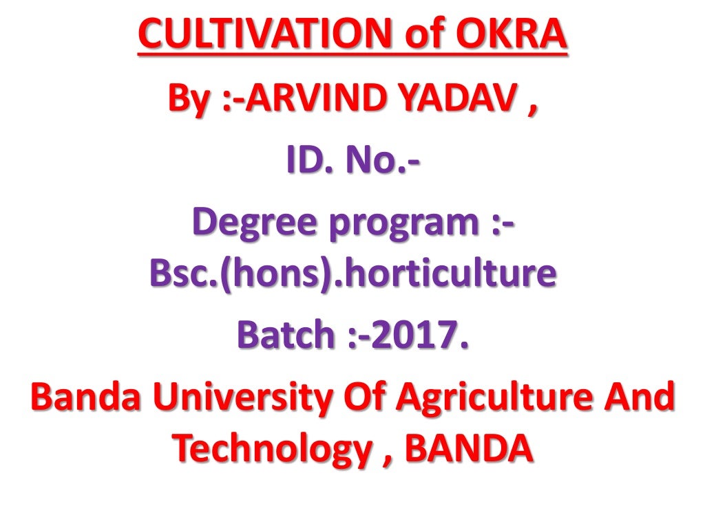 CULTIVATION OF OKRA , PRODUCTION TECHNOLOGY OF OKRA