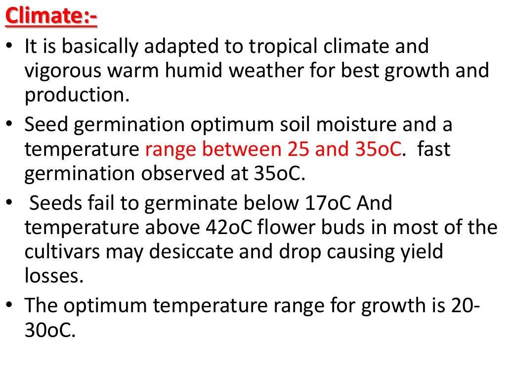 CULTIVATION OF OKRA , PRODUCTION TECHNOLOGY OF OKRA