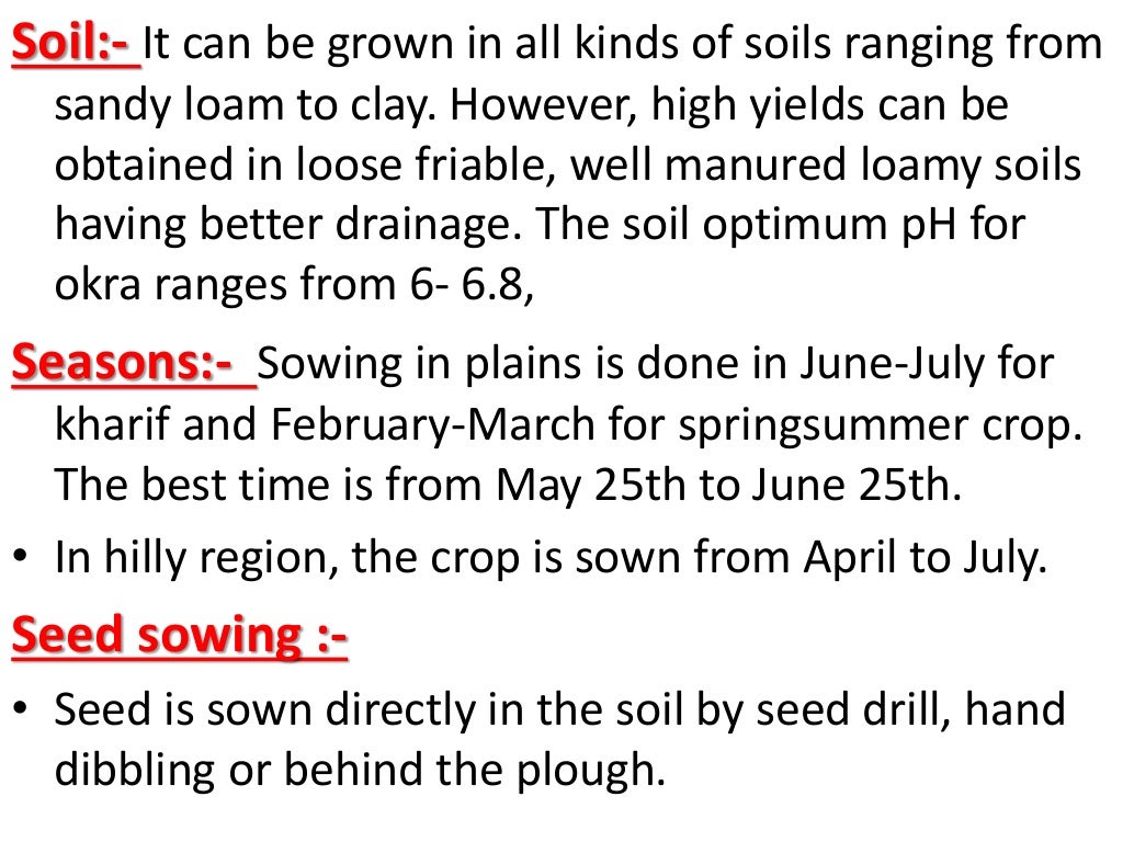CULTIVATION OF OKRA , PRODUCTION TECHNOLOGY OF OKRA