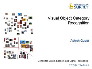 Visual Object Category
Recognition
Ashish Gupta
Centre for Vision, Speech, and Signal Processing
 