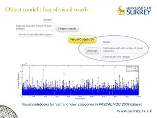 Object model : bag-of-visual words
Visual codebooks for ‘car’ and ‘cow’ categories in PASCAL VOC 2009 dataset
 