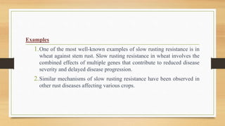Types and genetic mechanism of resistance to biotic stress-horizontal ...