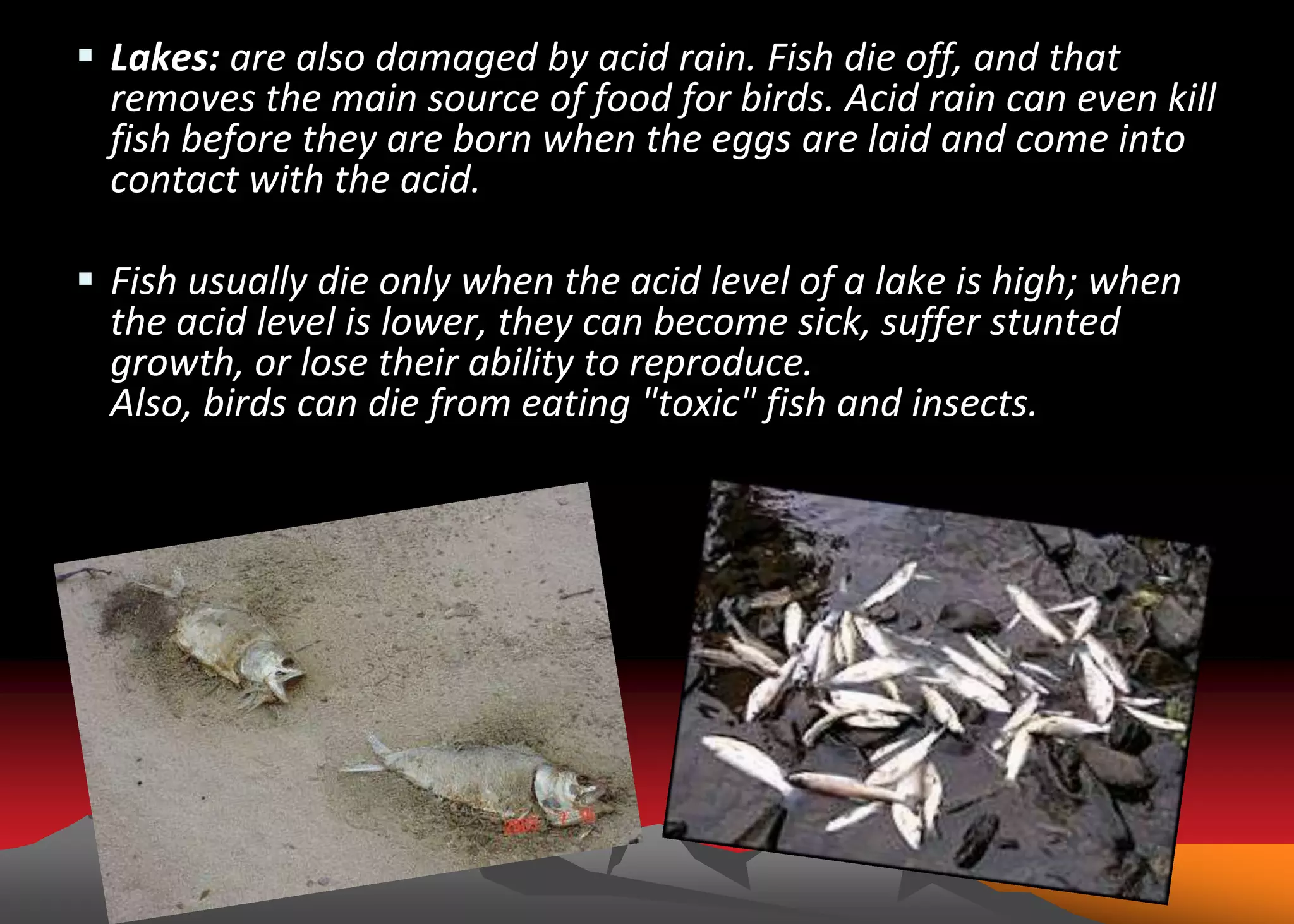 Ashish ranjan( chemistry project[ acid rain] ) | PPTX