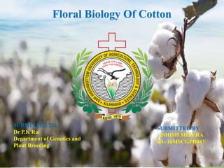 Floral Biology Of Cotton
SUBMITTED TO,
Dr P.K Rai
Department of Genetics and
Plant Breeding
SUBMITTED BY
ASHISH SHEERA
ID:-16MSCGPB043
 