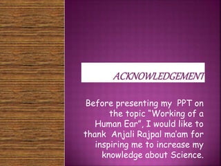 Before presenting my PPT on 
the topic “Working of a 
Human Ear”, I would like to 
thank Anjali Rajpal ma’am for 
inspiring me to increase my 
knowledge about Science. 
 