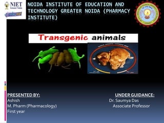 NOIDA INSTITUTE OF EDUCATION AND
TECHNOLOGY GREATER NOIDA (PHARMACY
INSTITUTE)
PRESENTED BY: UNDERGUIDANCE:
Ashish Dr. Saumya Das
M. Pharm (Pharmacology) Associate Professor
First year
 