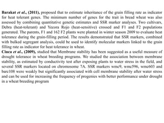 Barakat et al., (2011), proposed that to estimate inheritance of the grain filling rate as indicator
for heat tolerant genes. The minimum number of genes for the trait in bread wheat was also
assessed by combining quantitative genetic estimates and SSR marker analyses. Two cultivars,
Debra (heat-tolerant) and Yecora Rojo (heat-sensitive) crossed and F1 and F2 populations
generated. The parents, F1 and 162 F2 plants were planted in winter season 2009 to evaluate heat
tolerance during the grain-filling period. The results demonstrated that SSR markers, combined
with bulked segregant analysis, could be used to identify molecular markers linked to the grain
filling rate as indicator for heat tolerance in wheat.
Ciuca et al., (2009), studied that Membrane stability has been suggested as a useful measure of
drought tolerance in wheat breeding programs. We studied the association between membrane
stability, as estimated by conductivity test after exposing plants to water stress in the field, and
several SSR markers located on chromosome 7A. SSR markers wmc9, wmc596, wmc603 and
barc108 were weakly but significantly associated with cell membrane stability after water stress
and can be used for increasing the frequency of progenies with better performance under drought
in a wheat breeding program
 