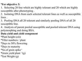 •For objective 3:
1. Selecting 20 line which are highly tolerant and 20 which are highly
susceptible after phenotyping .
2. Isolating DNA from each selected tolerant lines as well as susceptible
lines .
3. Pooling DNA all 20 tolerent and similarly pooling DNA of all 20
susceptible line.
4. Analysis of parent pooled susceptible and pooled tolerant DNA using
polymorphing and doing BSA.
Data yield and yield component
•Plant height (cm)
•Tiller numbers / plant
•Days to 50% flowering
•Days to maturity
•No.of grain spike-1
•Grain yield plant -1
(g)
•Test Weight (g)
 