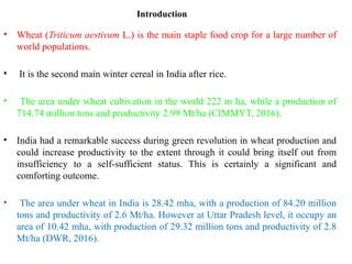 Introduction
• Wheat (Triticum aestivum L.) is the main staple food crop for a large number of
world populations.
• It is the second main winter cereal in India after rice.
• The area under wheat cultivation in the world 222 m ha, while a production of
714.74 million tons and productivity 2.99 Mt/ha (CIMMYT, 2016).
• India had a remarkable success during green revolution in wheat production and
could increase productivity to the extent through it could bring itself out from
insufficiency to a self-sufficient status. This is certainly a significant and
comforting outcome.
• The area under wheat in India is 28.42 mha, with a production of 84.20 million
tons and productivity of 2.6 Mt/ha. However at Uttar Pradesh level, it occupy an
area of 10.42 mha, with production of 29.32 million tons and productivity of 2.8
Mt/ha (DWR, 2016).
 