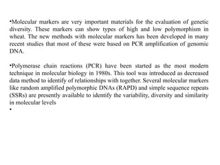 •Molecular markers are very important materials for the evaluation of genetic
diversity. These markers can show types of high and low polymorphism in
wheat. The new methods with molecular markers has been developed in many
recent studies that most of these were based on PCR amplification of genomic
DNA.
•Polymerase chain reactions (PCR) have been started as the most modern
technique in molecular biology in 1980s. This tool was introduced as decreased
data method to identify of relationships with together. Several molecular markers
like random amplified polymorphic DNAs (RAPD) and simple sequence repeats
(SSRs) are presently available to identify the variability, diversity and similarity
in molecular levels
•
 