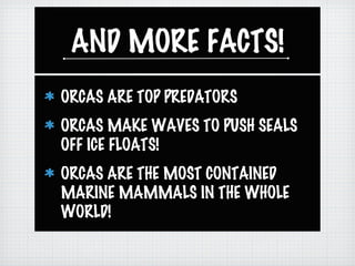 AND MORE FACTS!
ORCAS ARE TOP PREDATORS
ORCAS MAKE WAVES TO PUSH SEALS
OFF ICE FLOATS!
ORCAS ARE THE MOST CONTAINED
MARINE MAMMALS IN THE WHOLE
WORLD!
 