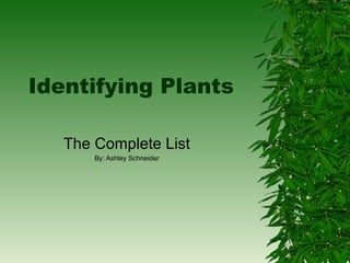 Identifying Plants

   The Complete List
       By: Ashley Schneider
 
