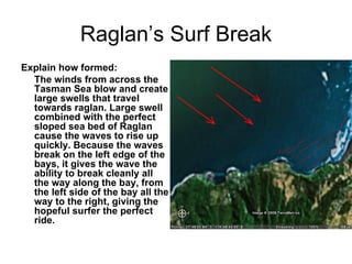 Raglan’s Surf Break Explain how formed: The winds from across the Tasman Sea blow and create large swells that travel towards raglan. Large swell combined with the perfect sloped sea bed of Raglan cause the waves to rise up quickly. Because the waves break on the left edge of the bays, it gives the wave the ability to break cleanly all the way along the bay, from the left side of the bay all the way to the right, giving the hopeful surfer the perfect ride. 