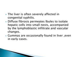  The liver is often severely affected in
congenital syphilis.
 Diffuse fibrosis permeates lbules to isolate
hepatic cells into small nests, accompanied
by the lymphoblastic infiltrate and vascular
changes.
 Gummas are occasionally found in liver ,even
in early cases.
 