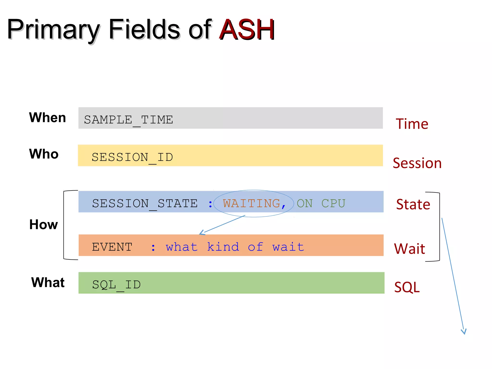 Primary Fields ofPrimary Fields of ASHASH
SESSION_ID
EVENT : what kind of wait
SQL_ID
SAMPLE_TIME Time
Session
SQL
Wait
SESSION_STATE : WAITING, ON CPU State
When
Who
How
What
 