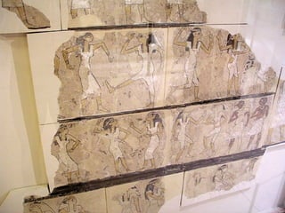 Ashmolean Museum | PPT